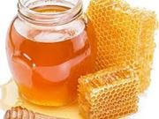 Benefícios e propriedades do mel 